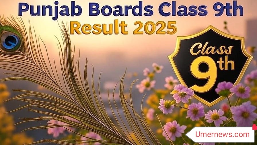 Punjab Boards Class 9th Result 2025 Punjab Boards Class 9th Result 2025